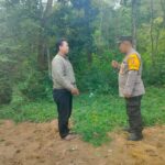IMG-20250502-WA0051
