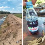 Proyek Normalisasi Parit Sekunder Diduga Jadi Ajang Korupsi Oknum PUPR Yang Bekerjasama Dengan Mafia Migas IMG_20251013_082646