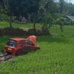 Mobil Honda Brio Masuk Sawah Setelah Tabrak Rambu Jalan di Pagelaran, Tidak Ada Korban Jiwa