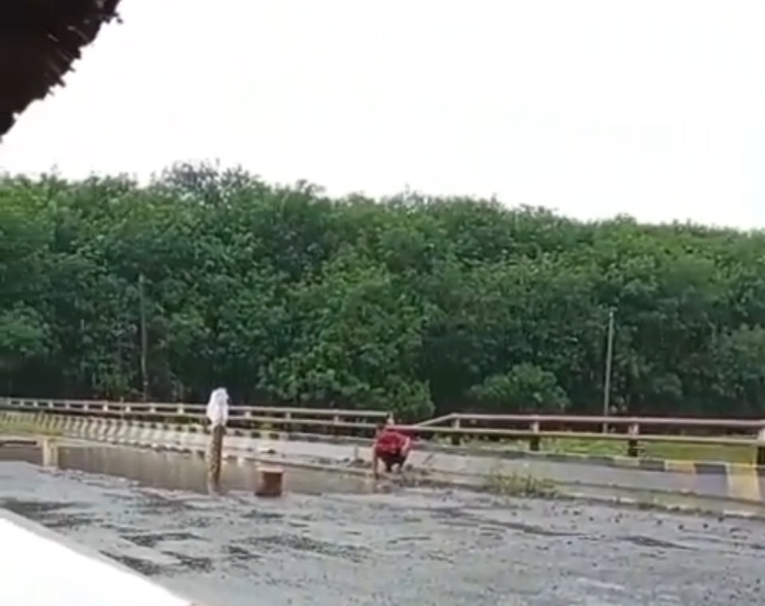 Screenshot_20251220-154202