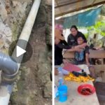 Screenshot_20260104-213351