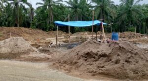 Screenshot_20260307-122552