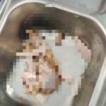 Screenshot_20260410-161244