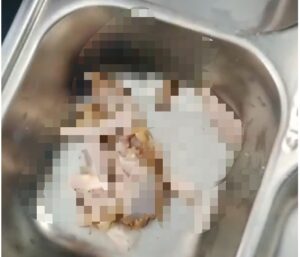 Screenshot_20260410-161244